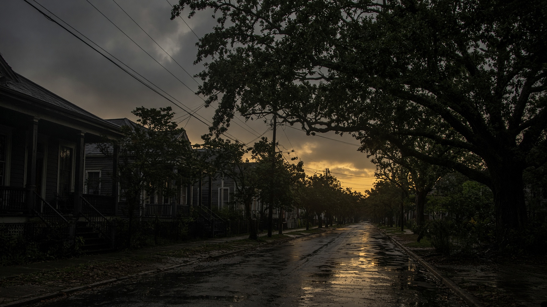 A New Orleans street at dusk after a storm, wet pavement and a break of gold light under remaining oaks.